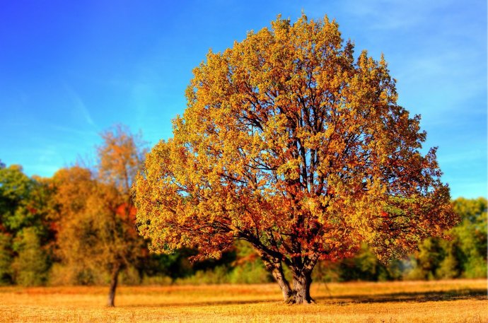 Foto k tématu novinky – stránka 8