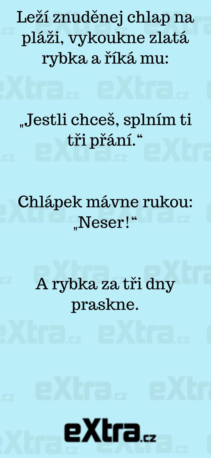 Foto k tématu Vtipy – stránka 931