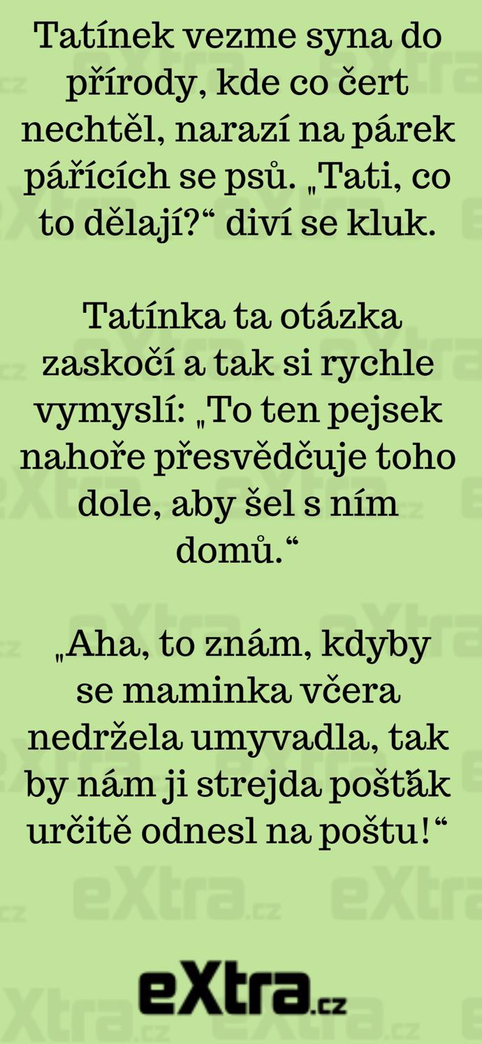 Foto k tématu Vtipy – stránka 914