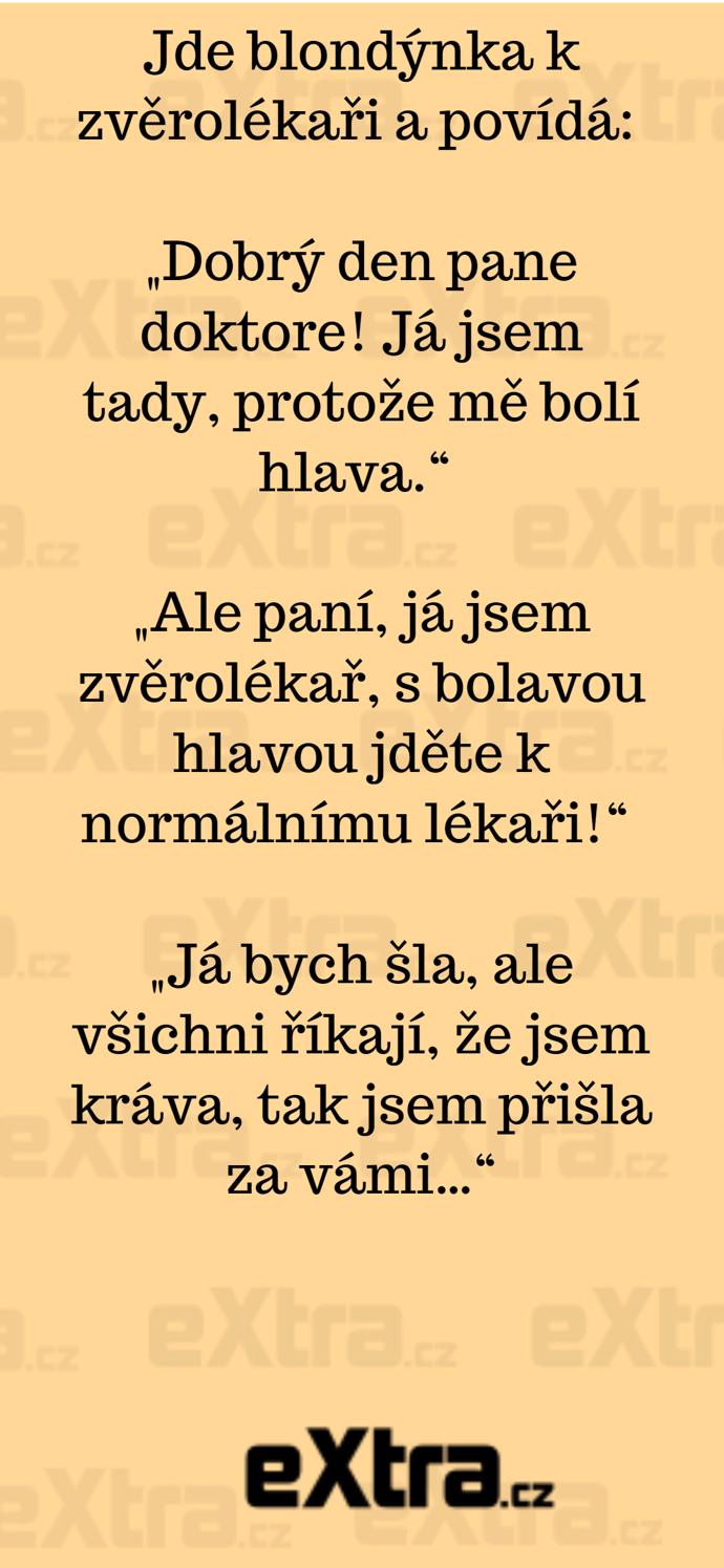 Foto k tématu Vtipy – stránka 903