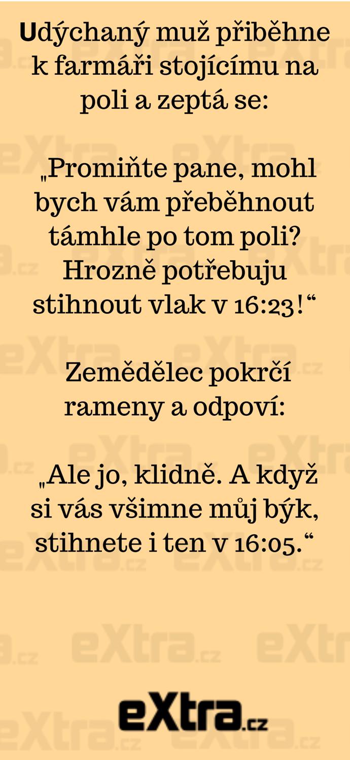 Foto k tématu Vtipy – stránka 983