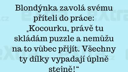 FOTO: Vtipy