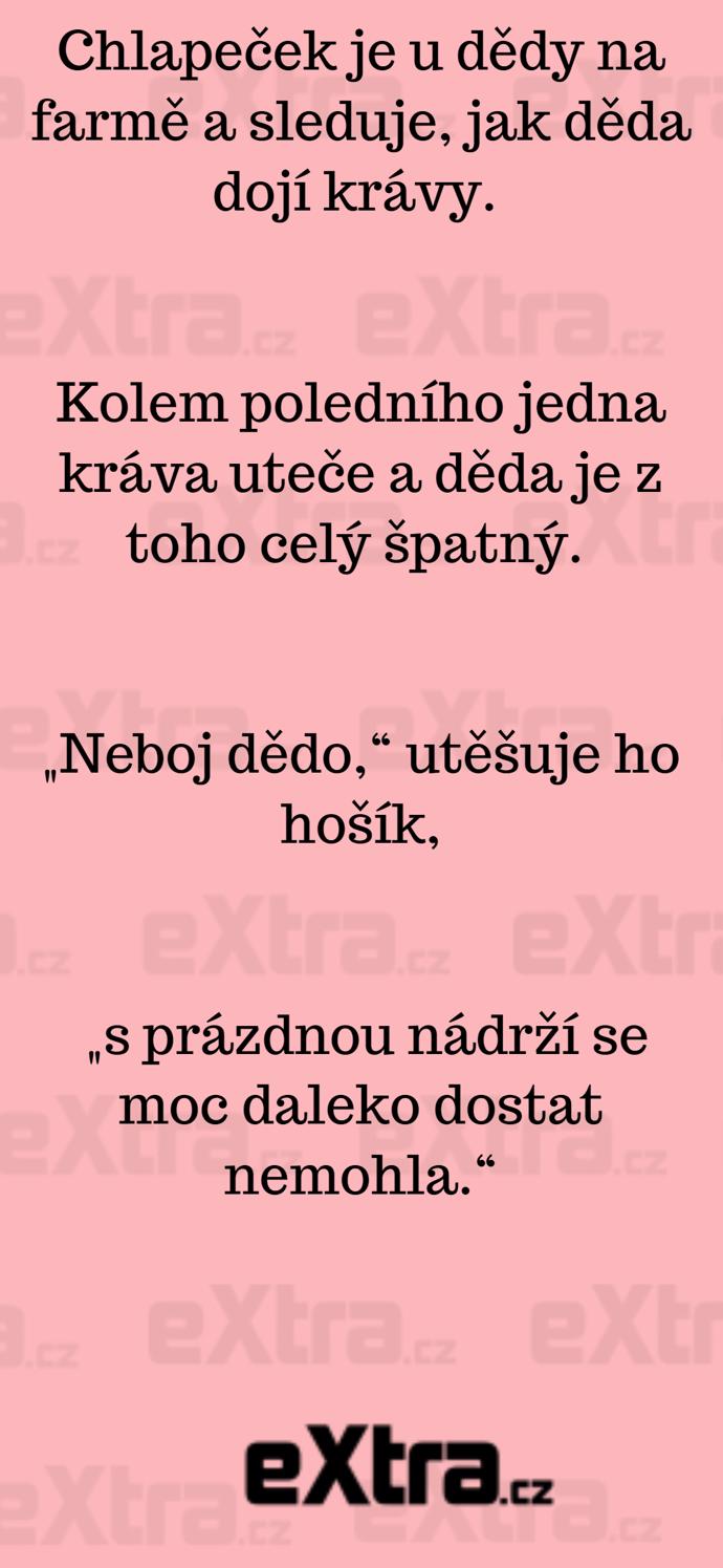 Foto k tématu Vtipy – stránka 960