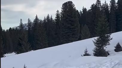 FOTO: Mia a Kryšpín dováděli ve sněhu