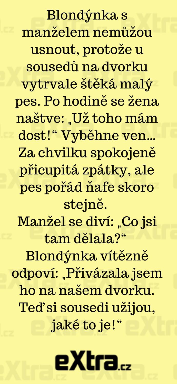 Foto k tématu Vtipy – stránka 847