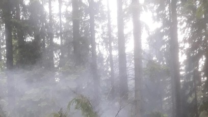 FOTO: Na Plzeňsku řádily bouřky.