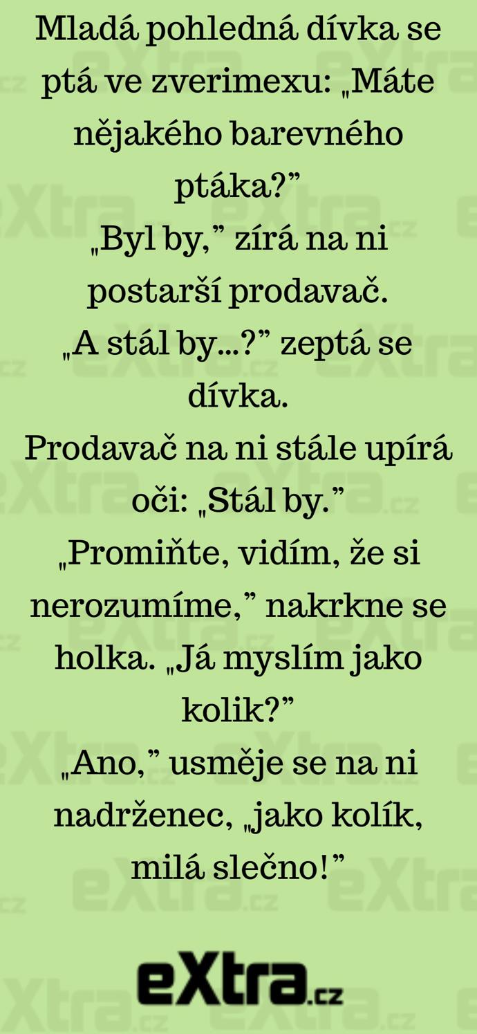 Foto k tématu Vtipy – stránka 511