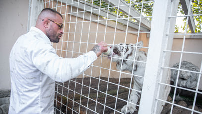 FOTO: Karlos Vémola svá zvířata miluje.