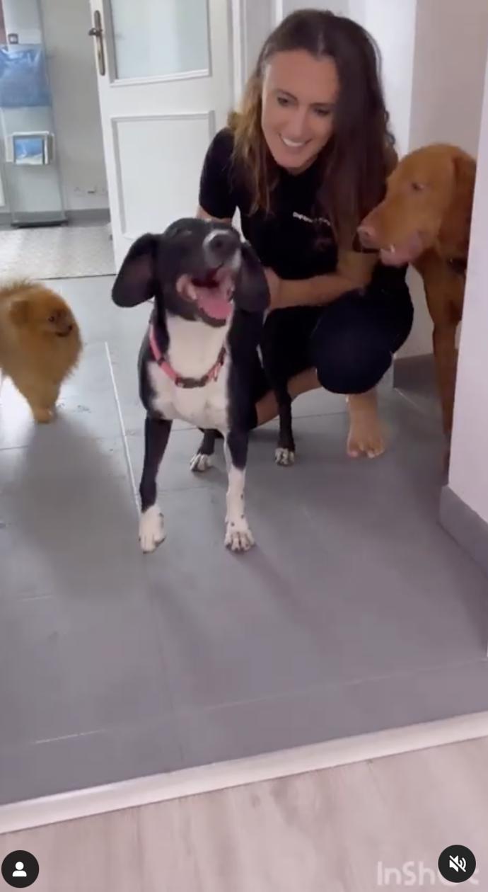 FOTO: Bonie vypadala velmi nadšeně. – stránka 2459