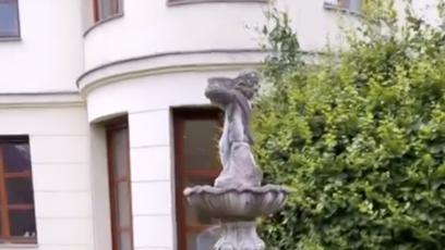 FOTO: Psi si mohou hrát i venku.