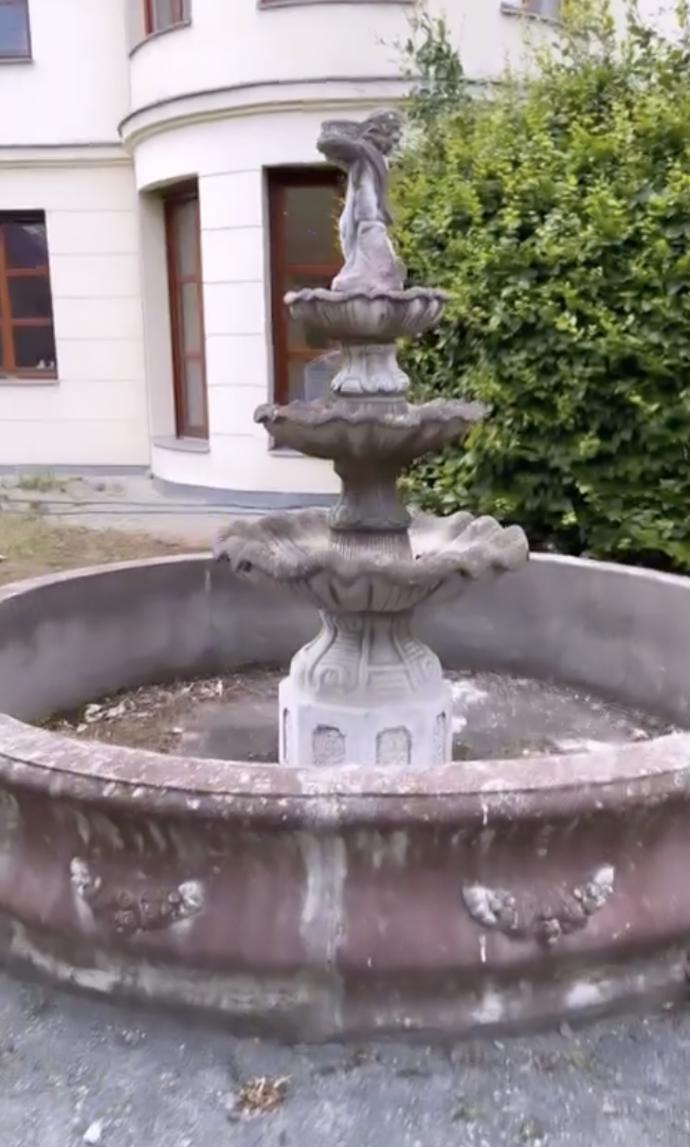 FOTO: Psi si mohou hrát i venku. – stránka 2456