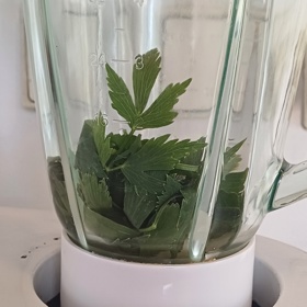 Libeček nasekejte a vhoďte do mixéru – společně se solí a jednou lžící oleje.