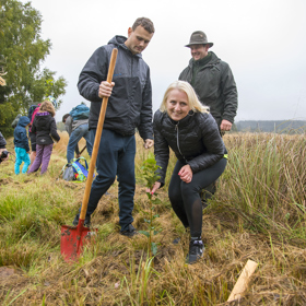 Brdské stromsázení