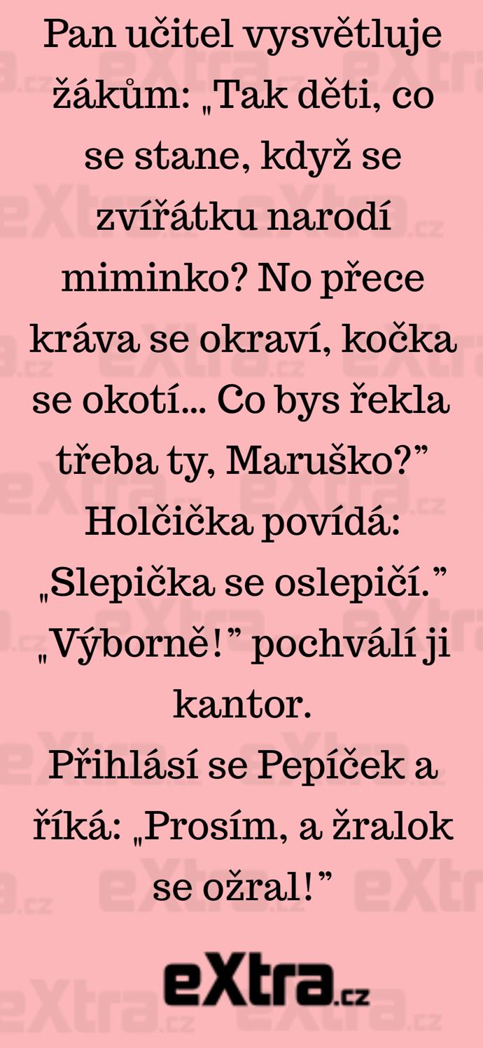 Foto k tématu Vtipy – stránka 484