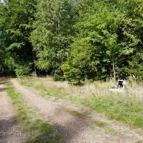 Pomník stojí uprostřed lesa.