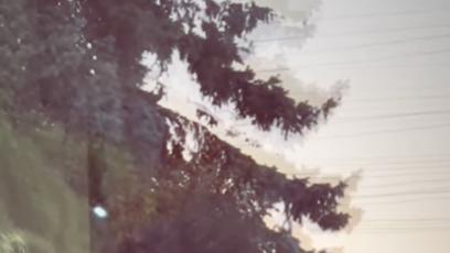 FOTO: Mirek je s Agátou čím dál častěji.