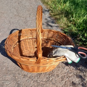 Na "lov" šípků, které jsou výtečnou zásobárnou vitaminu C, se vybavte košíkem a rukavicemi. Vhod přijdou také nůžky.