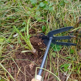 Na sběr si vezměte oblečení, které se může zašpinit, není to totiž právě čistá práce.