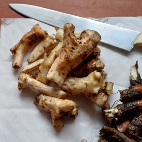 Kořen ještě hezky začerstva očistěte. Později už se to dělá hůř.