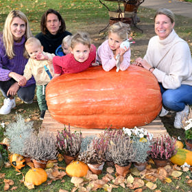 Tenistky dorazily i se svými ratolestmi.