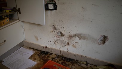 FOTO: Hamás vraždil tamní obyvatele i domácí mazlíčky.