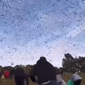 Lidé bankovky sbírali jako zběsilí.