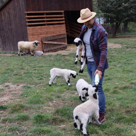 Tomáš Krejčíř říká, že jeho ovce patří mezi ty dražší. Kus vyjde i na 1 000 eur.