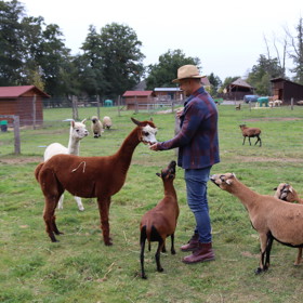 Tomáš Krejčíř říká, že z lamí srsti by v budoucnu chtěli s manželkou dělat například příze nebo svetry.
