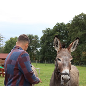 Moderátor Tomáš Krejčíř má dvojici oslů až z daleké Itálie.