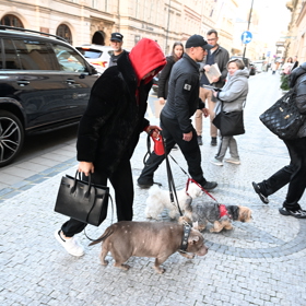 Van Damme nepřijel sám.