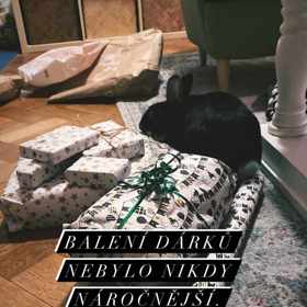 Anna Fixová balí s Panem Čudlem i vánoční dárky.