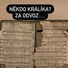 Anna Fixová se na Pana Čudla už několikrát hodně zlobila...