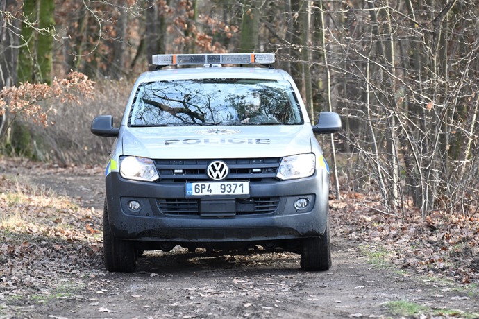 FOTO: Les pročesávají terénní vozy. – stránka 41