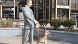Morris Frank a Buddy