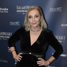 O doplňky se postaral nejen detail na šatech v podobě štrasového knoflíku, ale i celá sestava náhrdelníků. Zpěvačka nevynechala ani oblíbené kouřové líčení očí, tentokrát ozvláštněné slavnostními stříbřitými tóny.