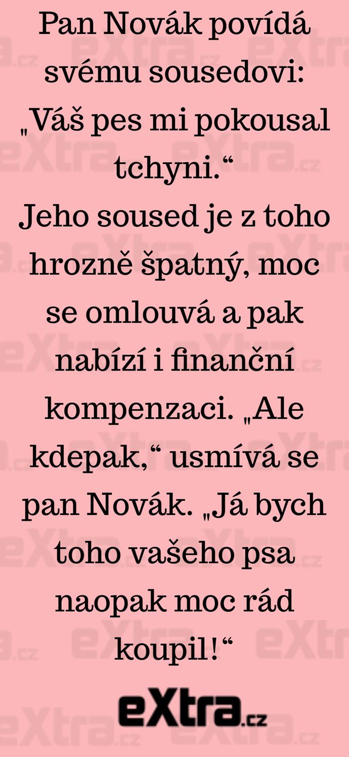 Foto k tématu Vtipy – stránka 427