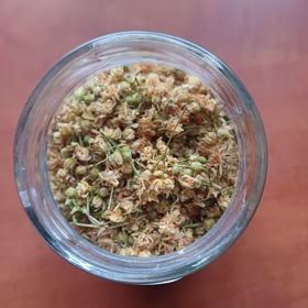 Lípa srdčitá prospívá nejen srdci.