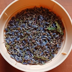 Dále použijte levanduli či jinou sušenou bylinku.