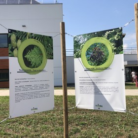 Výroba podléhá na každé úrovni několikanásobné kontrole odpovídá kritériím Správné výrobní praxe (GMP) a splňuje všechny požadavky jednotlivých národních legislativ