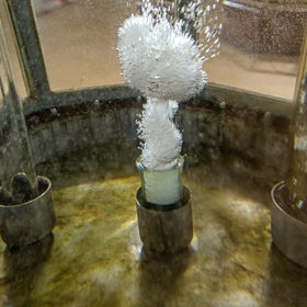 Františkovy Lázně AQUAFORUM a. s.