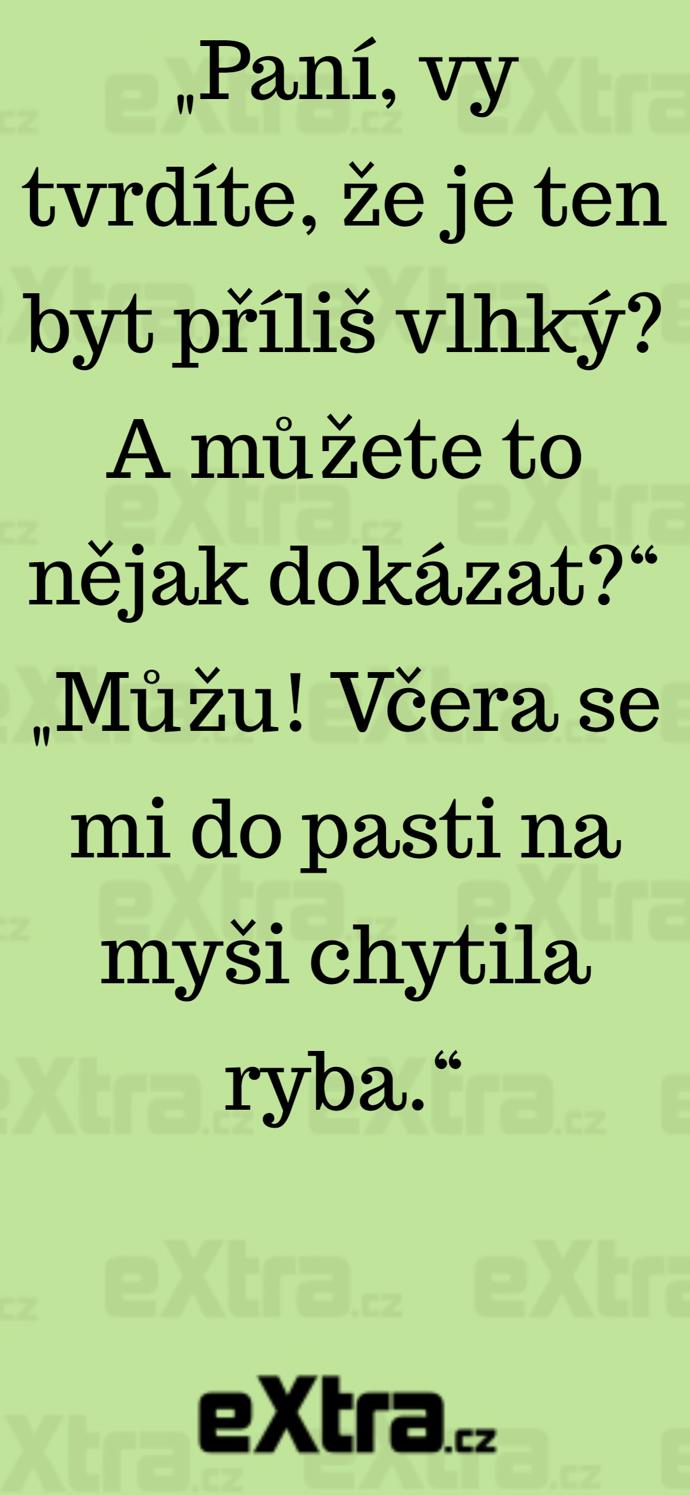 Foto k tématu Vtipy – stránka 389