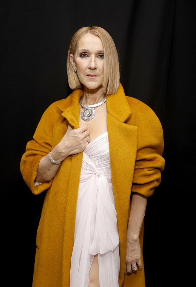 FOTO: Zpěvačka Céline Dion na předávání cen Grammy. – stránka 15