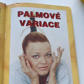 Palmové variace připomínaly podle Slávka Boury spíše palmový háj.