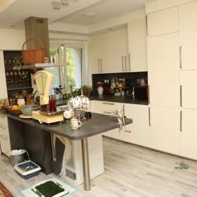 Bytu zpěvačky Šárky Rezkové vévodí prostorná a světlá kuchyně. Dole si povšimněte psí toalety, na kterou může chodit její pejsek, čivava Trevis.