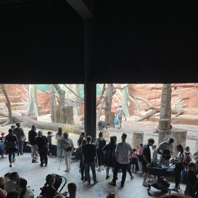 Pražská zoo byla narvaná.