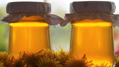 Všechno o pampeliškovém medu: Pomáhá s nachlazením a uplatní se také v kuchyni, přesto mu včelaři někdy nemohou přijít na jméno