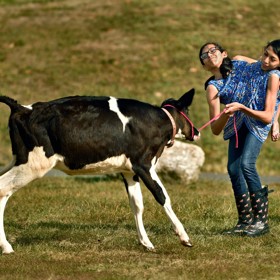 Carmen Andrade je už tři roky zadaná.