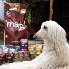 Fenka Michaely Kuklové má alergii a může jen jehněčí granule. 