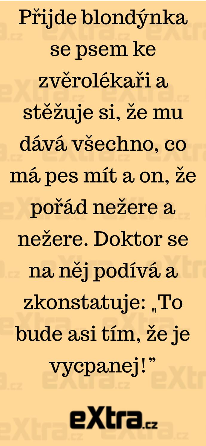 Foto k tématu Vtipy – stránka 314