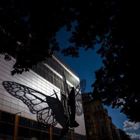 Motýli od Davida Černého na pražském obchodním domě Máj.